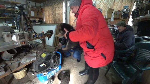 НАШИ ЩЕНКИ ПОДРОСЛИ И МЫ ПРОДАЁМ ИХ. смотреть онлайн