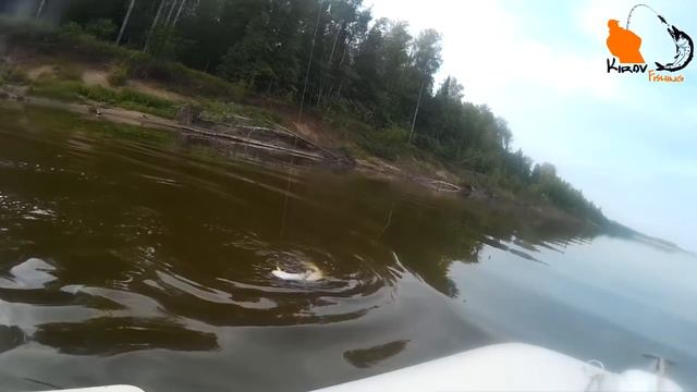 Вятка Суводи Джиг - KF №17 смотреть онлайн