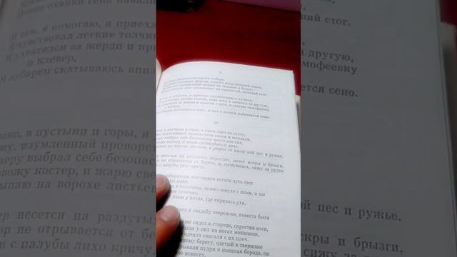 Самый цитируемый поэт в Голливуде/ Уолт Уитмен/ КнигоКринж #поэзия #свобода #голливуд #классика смотреть онлайн