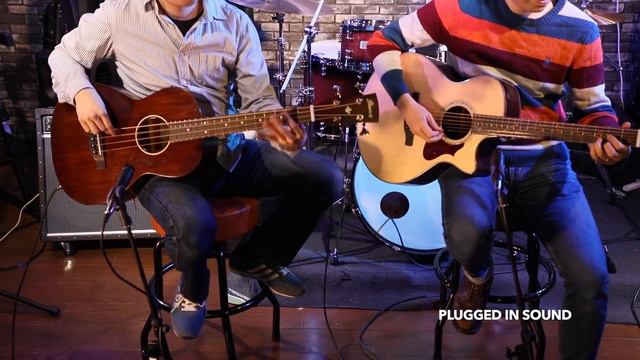 Ibanez AVNB1E - Compact Acoustic Electric Bass смотреть онлайн