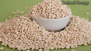 ПЕРЛОВКА, её ОГРОМНАЯ ЦЕННОСТЬ и КОВАРНОСТЬ