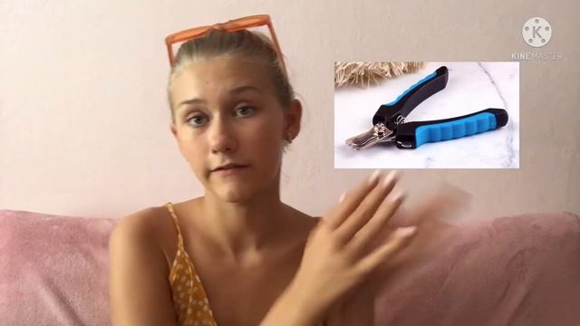 Все для щенка чихуахуа?Вещи моей собаки ? смотреть онлайн