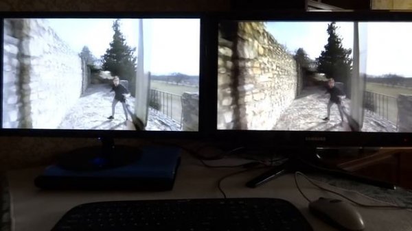 Envision P2478MDHL Skyrim