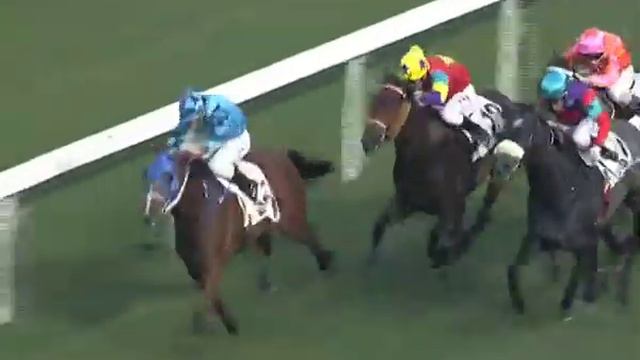 [BMW Hong Kong Derby 2013] Trainer Richard Gibson talks about his chances in the Derby смотреть онлайн