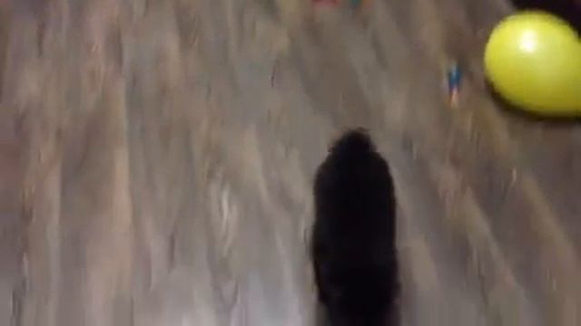 Мальчишки продаются.Шпиц. смотреть онлайн
