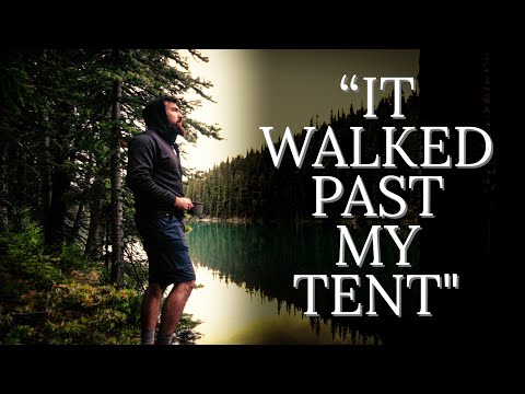 Strange Happenings at Hidden Lake