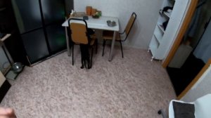 Обучение щенка Стаффордширского терьера с нуля/Часть 2