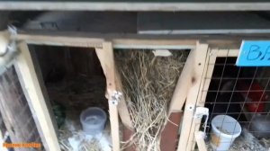 ЗИМНЕЕ содержание кроликов.Как ЗИМОЙ получать окролы.Как ЗИМОЙ ПОИТЬ кроликов.