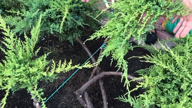 Ниваки своими руками смотреть онлайн