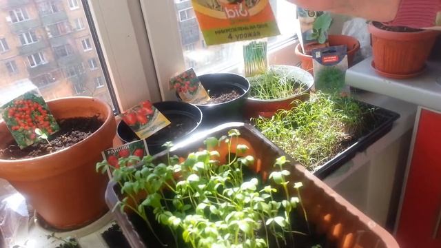 Строим с Умом