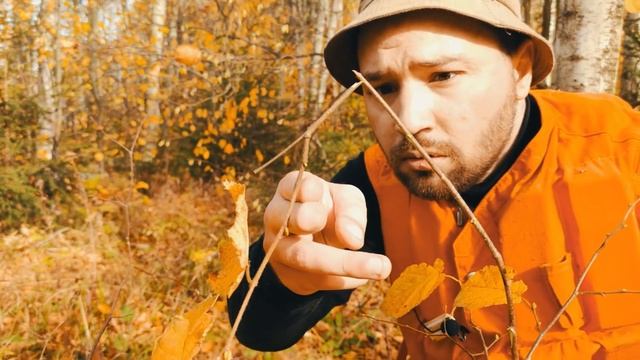 Что делать, если ты заблудился в лесу? Выживание в лесу