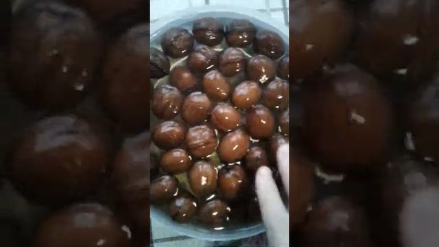 Грецкий орех замачивание и проращивание смотреть онлайн