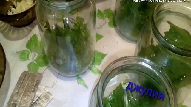 Заготовка на зиму. Засолка огурцов с репчатым луком по нашему рецепту смотреть онлайн