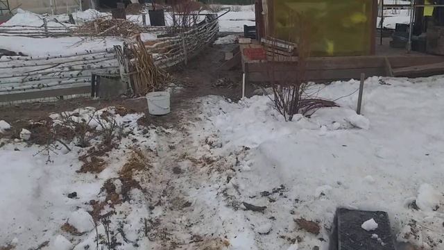 Зола,Чеснок,Капуста,Розы.???08.04.22 смотреть онлайн