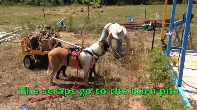 Рабочие Собаки смотреть онлайн