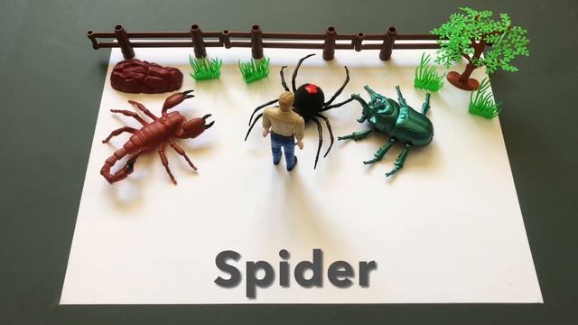 Zuru Robo Alive Spider. Insects Toy Farm for Kids. смотреть онлайн