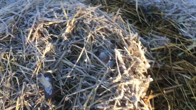 зимняя колонка смотреть онлайн