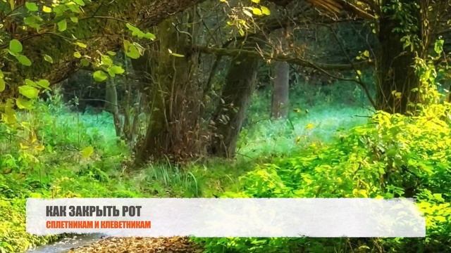 КАК ЗАКРЫТЬ РОТ СПЛЕТНИКАМ И КЛЕВЕТНИКАМ смотреть онлайн