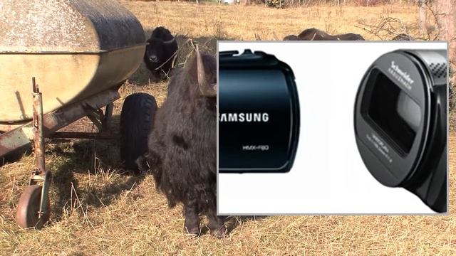 Samsung F80 HDCamcorder смотреть онлайн