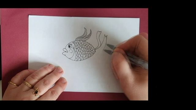 Как нарисовать золотую рыбку, легко и просто смотреть онлайн