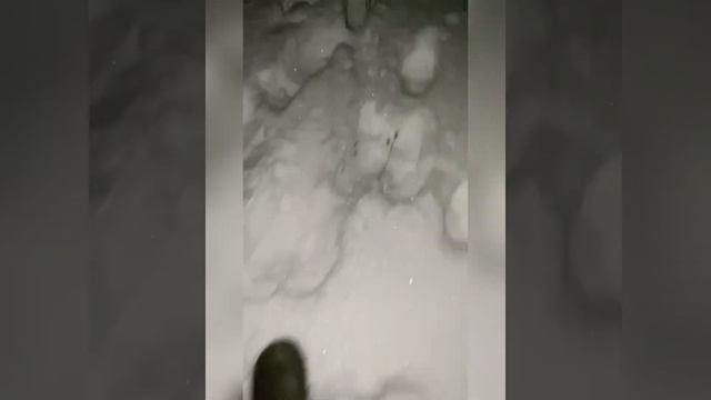 Мотобуксировщик Baltmotors Barboss 2года эксплуатации смотреть онлайн