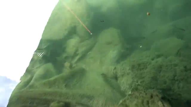 MINI Gumball Machine AQUARIUM! DIY Fishing смотреть онлайн