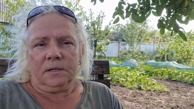 23.07.2023 // Сыровяленная шейка (коппа) // Дровяник заполнен // Огородная зарисовка смотреть онлайн