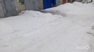 Соболь Баргузин продаю