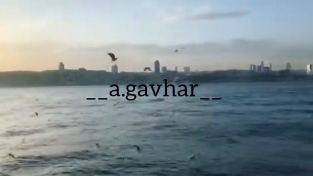 Эвита Гайнет