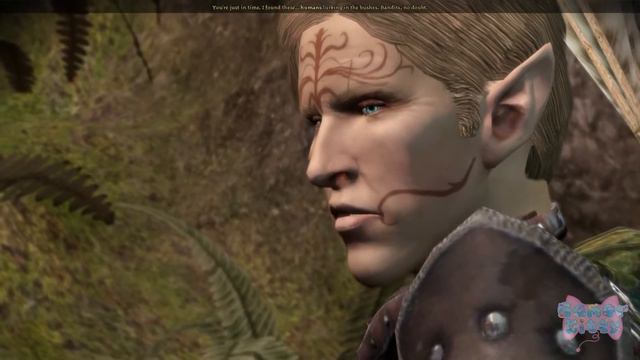 Dragon age origins "Modded" - Elven Male Warrior/Morrigan Romance - No commentary part 1 смотреть онлайн
