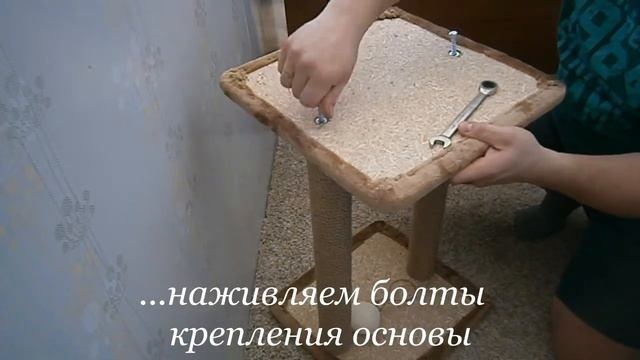 Обзор как собрать простую когтеточку для кошки смотреть онлайн