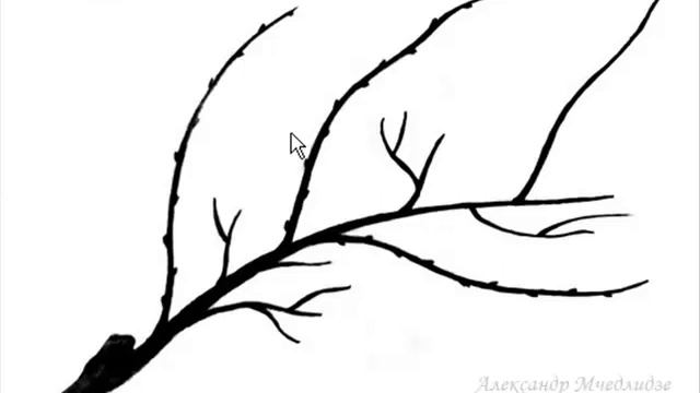 🍇 Как восстановить запущенный куст винограда? смотреть онлайн