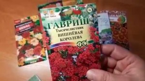 Цветы от вредителей в огороде  и в саду