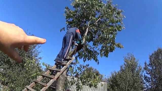 ЧЕРЕШНЮ ПИЛИМ часть 2 . смотреть онлайн