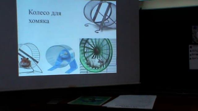 Мои любимые животные смотреть онлайн