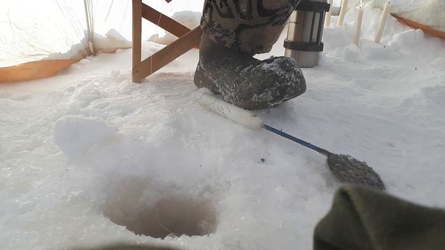 Весна -40 градусов:)Плотва просыпается. смотреть онлайн