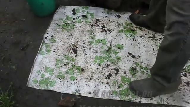 Черви перевод в бочки смотреть онлайн