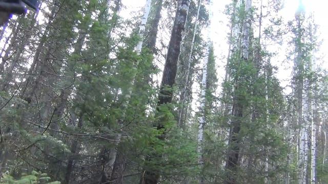 Заход на Рыбалку в Тайгу Два РЮКЗАКА на СПИНЕ - Это Вырезка Рыбалка ссылка вОписании Федорович Пап смотреть онлайн