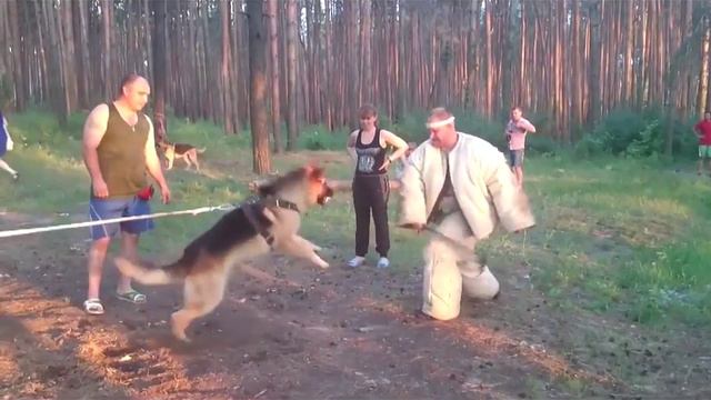 Ральф и Эльза смотреть онлайн