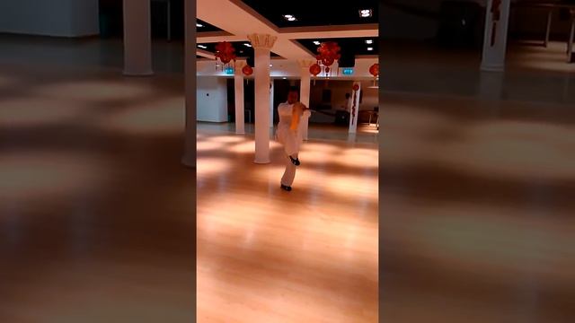 Уданский меч, Мастер Ху Лицин смотреть онлайн