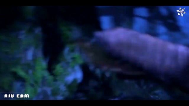 EDM Music Mix: Riu EDM's「The Perfect」 смотреть онлайн