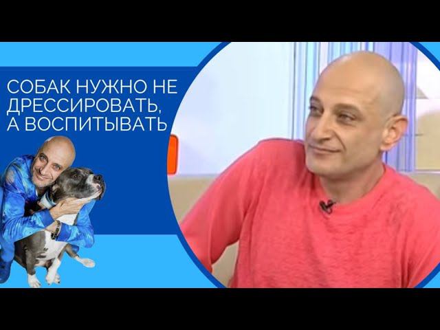 Антуан Наджарян: собак нужно не дрессировать, а воспитывать смотреть онлайн