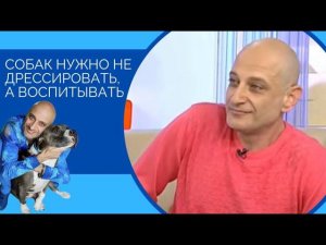 Антуан Наджарян: собак нужно не дрессировать, а воспитывать