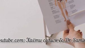 САБАБХОИ АСОСИИ ХОРИШ ДАР ЗАНХО. ТАРЗИ ОСОН МУАЙЯН КАРДАН #хориш #занхо #хаётисолимбоDr.Samira