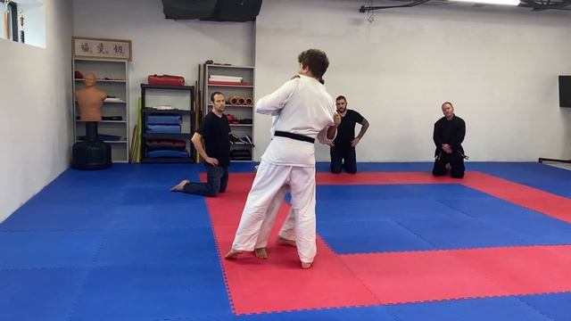Practical: Heian Pinan Sandan throw Bunkai #karate #martialart #karatespirit #shotokankarate #mma смотреть онлайн