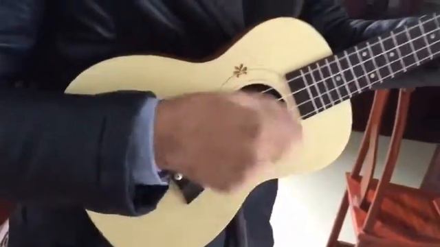 Soltech Ukulele Sound Test смотреть онлайн