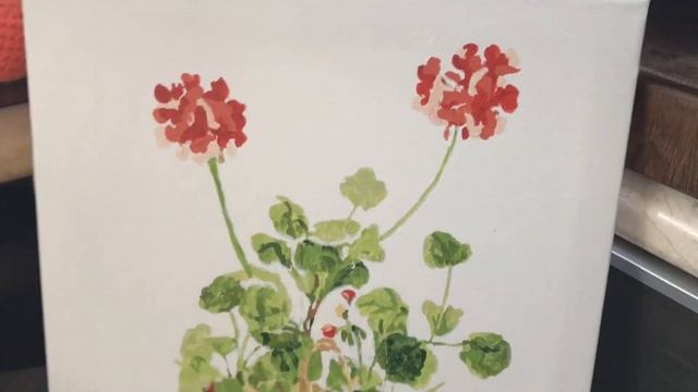 Освещение для пеларгоний на зиму? смотреть онлайн