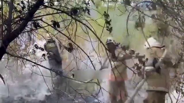 К тушению пожара в Караганде подключился вертолет 👍 #караганда #пожар #вертолёт смотреть онлайн