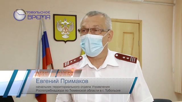 СТРУКТУРА ЗАБОЛЕВШИХ В ТОБОЛЬСКЕ смотреть онлайн