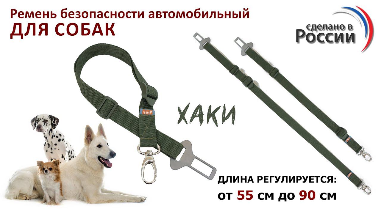 Ремень безопасности для собак в автомобиль, цвет хаки. Промо-ролик.